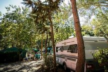 Parcelas camping Gran Confort